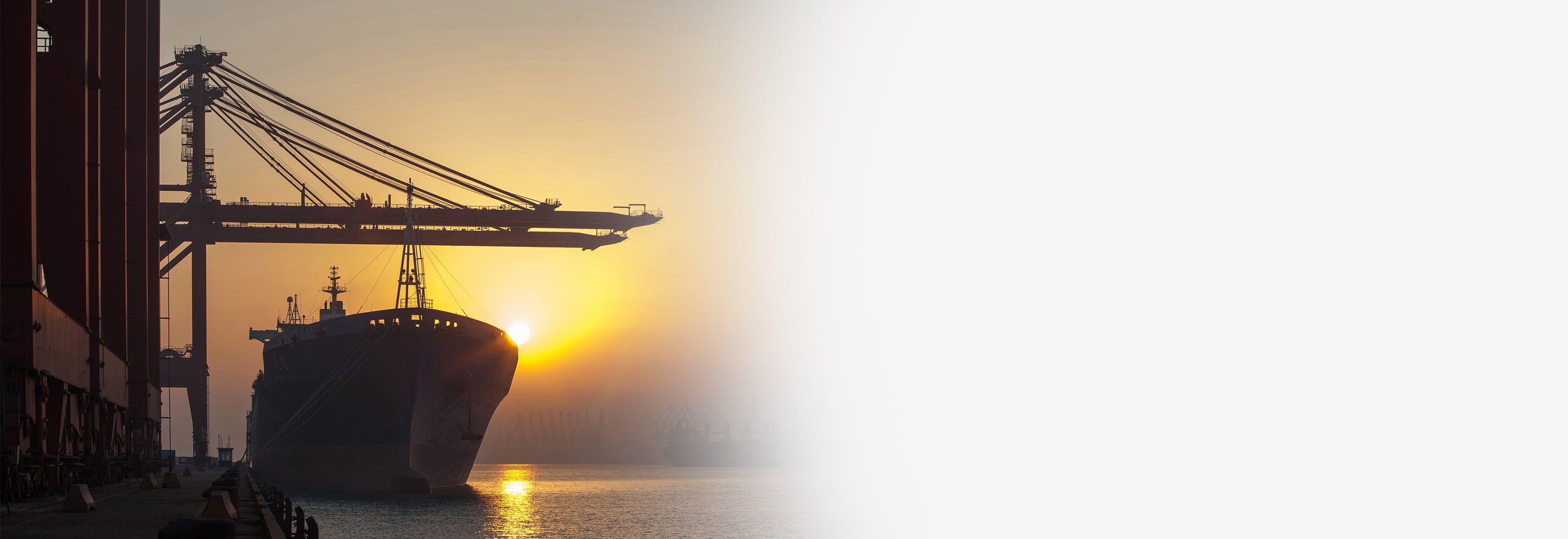 gemilerde otomatik eksternal defibrilatör oed cihazı çözümleri